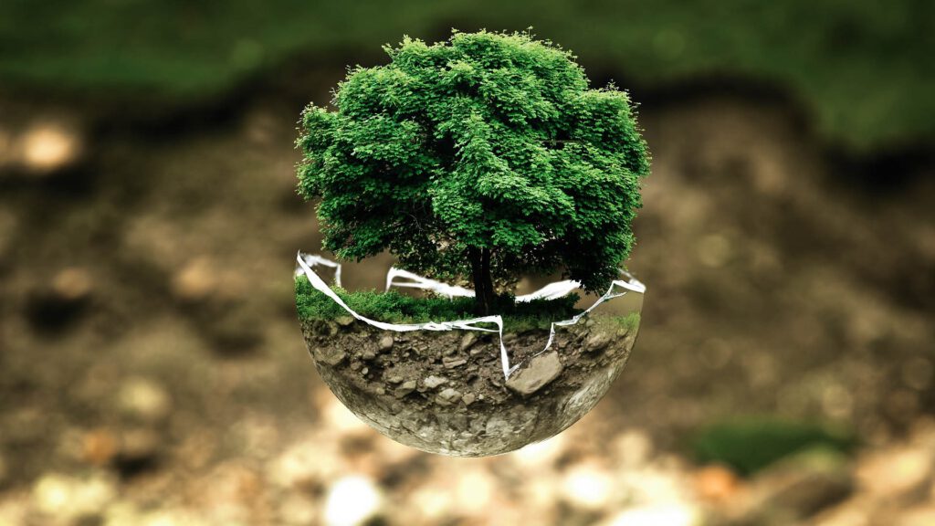 Baum wächst aus Erdkugel